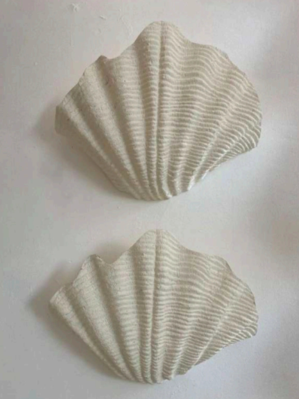 COVE WALL LIGHTS