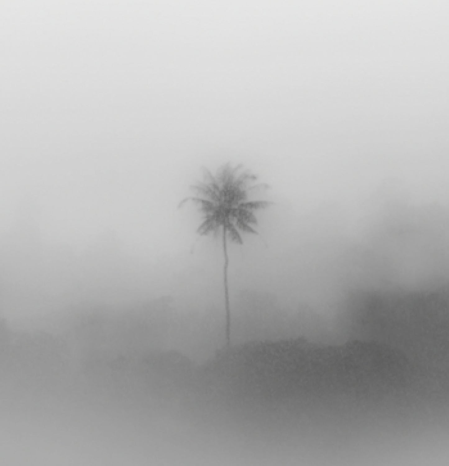 HAZE