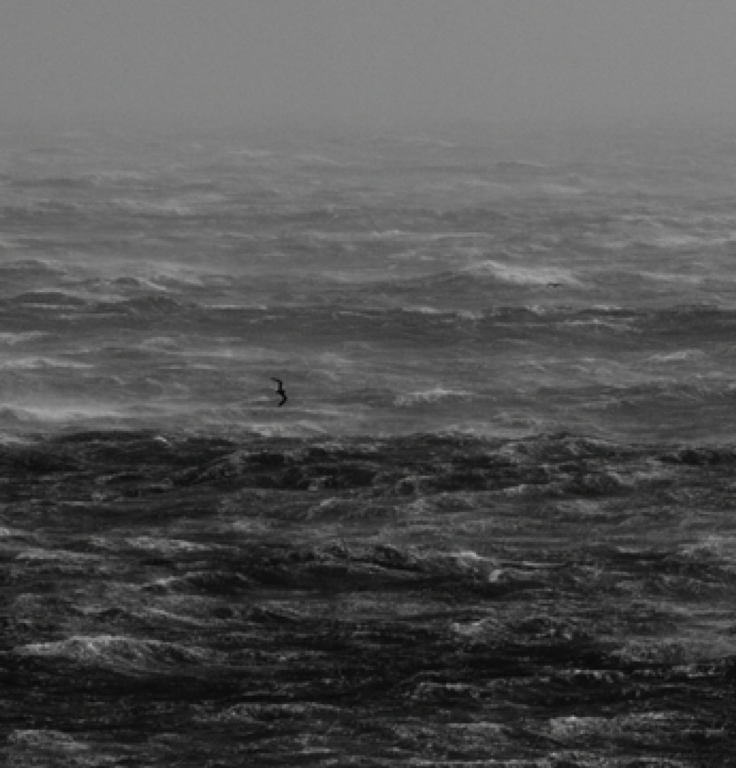 OFFSHORES
