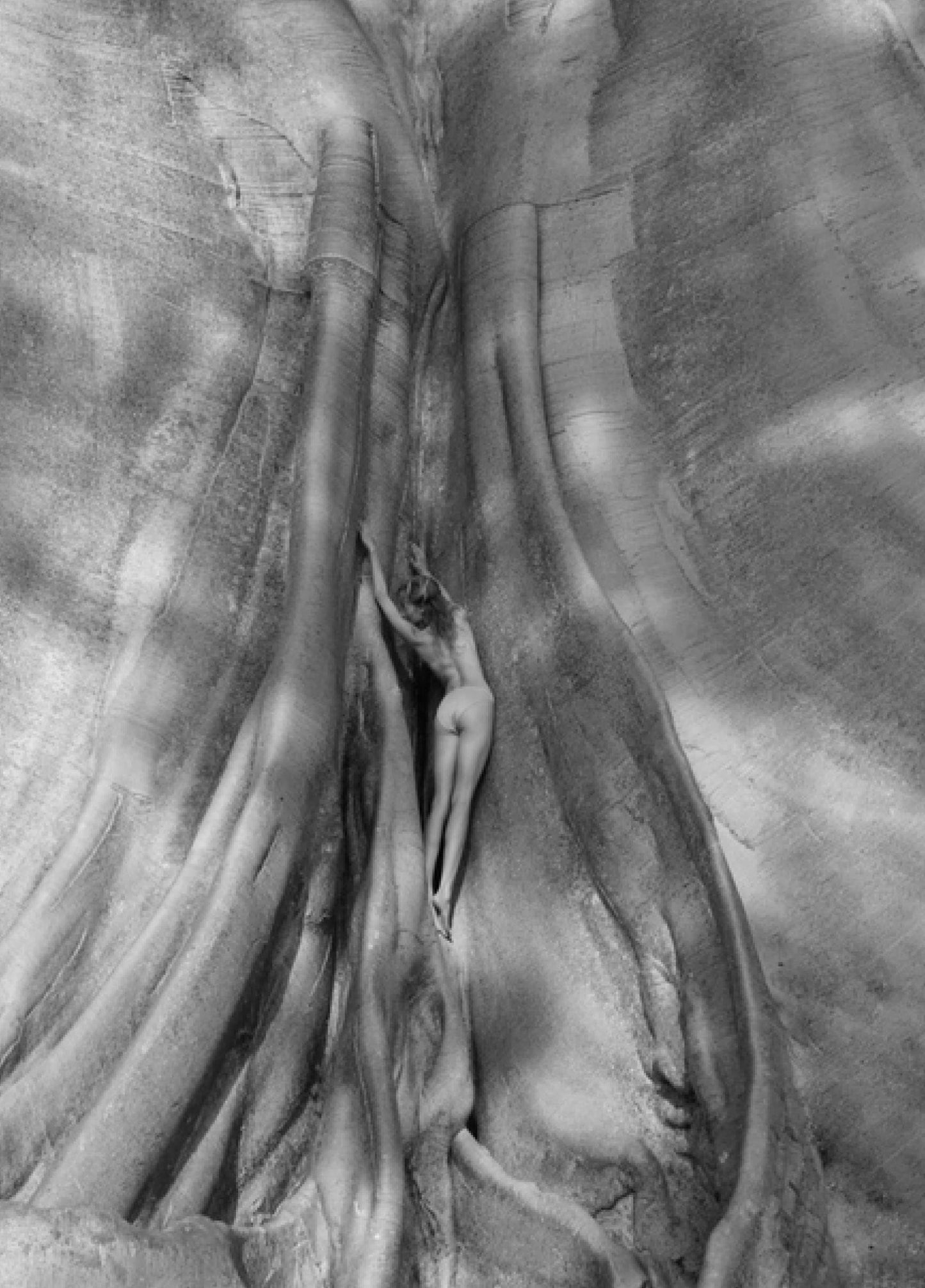 SACRED ROOTS No 2