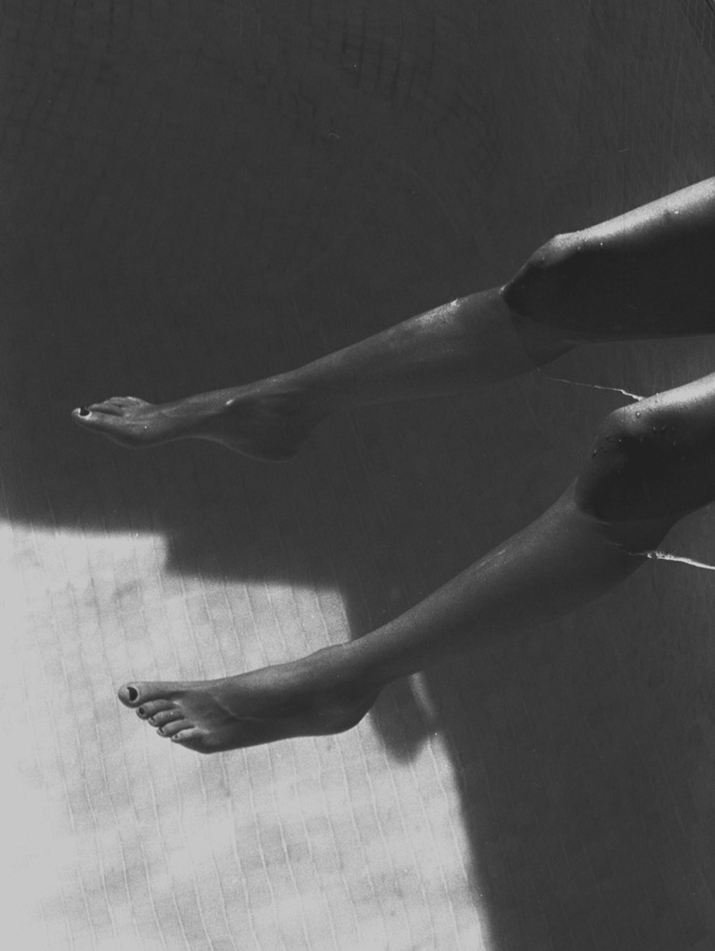 SHADOWS AND REFLECTIONS
