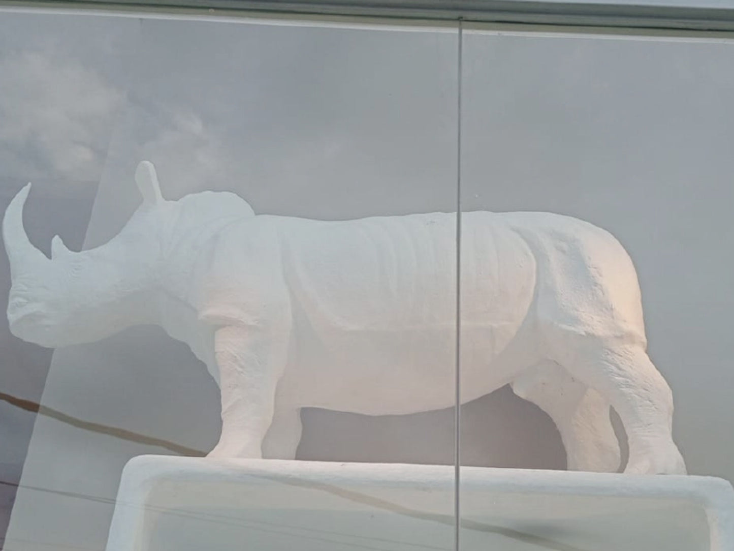 RHINO